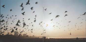 CD Nitin Sawhney: Prophesy