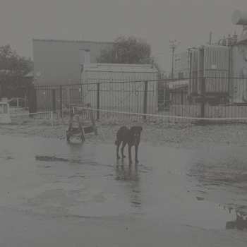 2LP Nivhek: After Its Own Death / Walking In A Spiral Towards The House