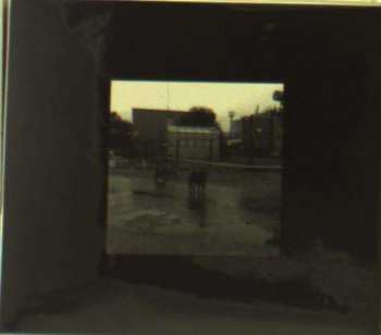 CD Nivhek: After Its Own Death / Walking In A Spiral Towards The House
