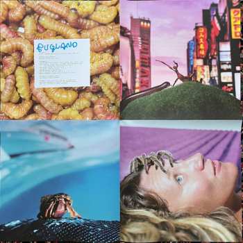 LP No Joy: Bugland CLR | LTD