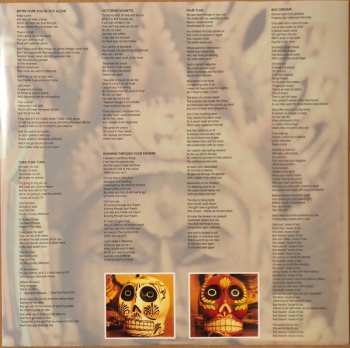 LP Noctorum: Honey Mink Forever CLR | LTD