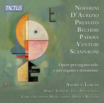 Album Andrea Padova: Opere Per Organo Solo E Per Organo E Strumento