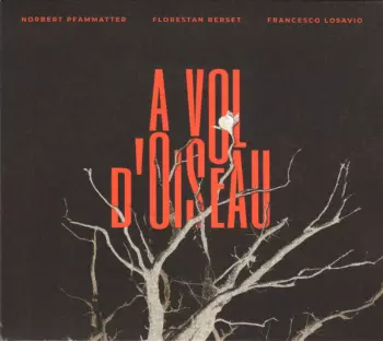 Norbert Pfammatter: A Vol D'Oiseau