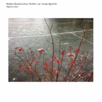 LP Norbert Rodenkirchen: Opalescence