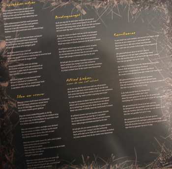 2LP Normaal: Hier Is Normaal CLR