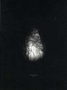 CD Nucleus Torn: Knell