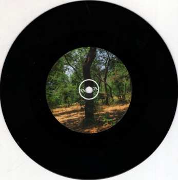 SP nula.cc: Cicadas - Bells LTD