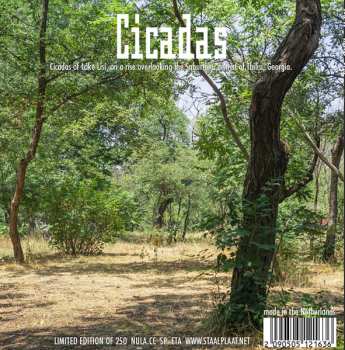 SP nula.cc: Cicadas - Bells LTD
