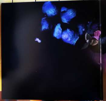 LP Numenorean: Adore