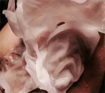 CD Oathbreaker: Rheia