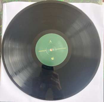 LP Oberbaum: The Absence of Misery