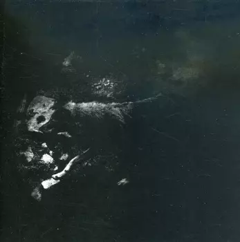 The Womb Of Primordial Nature