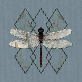 CD OHHMS: Close DIGI