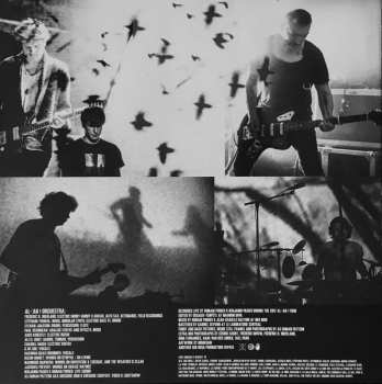 2LP Oiseaux-Tempête: TARAB طرب  CLR | LTD