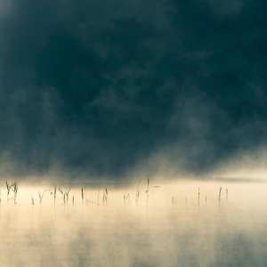 Album Oneirogen: Convivium