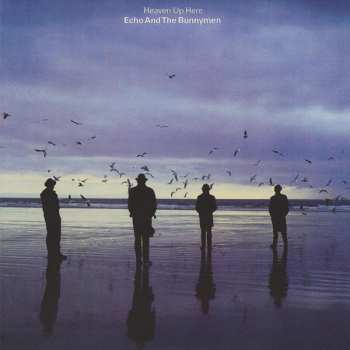 5CD/Box Set Echo & The Bunnymen: Original Album Series
