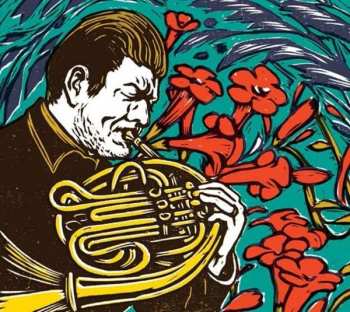 CD Radek Baborák: Orquestrina