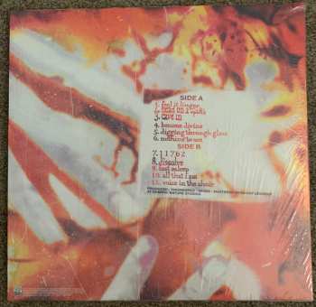 LP/CD Orthodox: Learning To Dissolve CLR | LTD