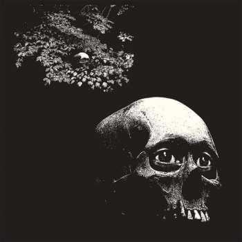 CD Thee Oh Sees: A Foul Form