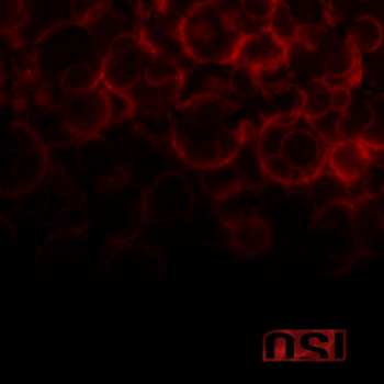LP OSI: Blood