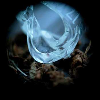 CD Ossicles: Mantelpiece
