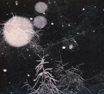 CD Over The Voids...: Over the Voids