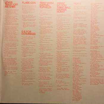 2LP Owen Pallett: Heartland