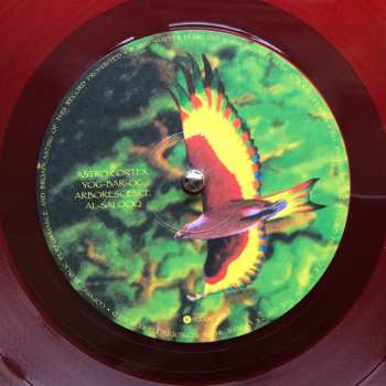 LP Ozric Tentacles: Arborescence CLR