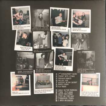 LP Pablo van de Poel: Americanalog