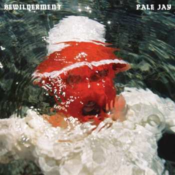 CD Pale Jay: Bewilderment