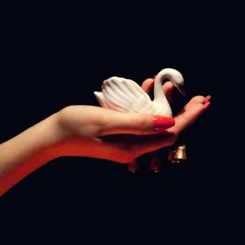 Album Pale Spring: CYGNUS