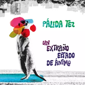 Palida Tez: Un Extraño Estado de Ánimo