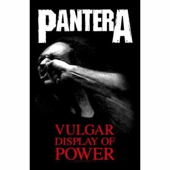 Merch Pantera: Textilný plagát Vulgar Display Of Power