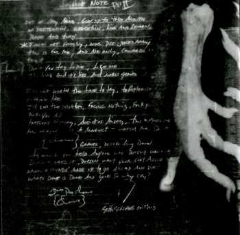 CD Pantera: The Great Southern Trendkill