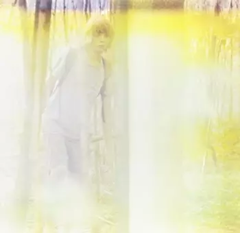 Paolo Spaccamonti: I Cormorani OST