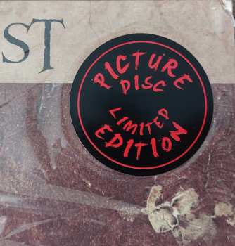 2LP Paradise Lost: Symphony For The Lost LTD | PIC