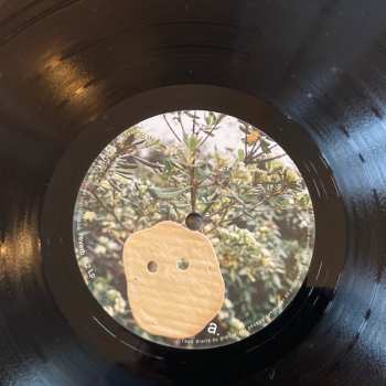 LP Park: Park