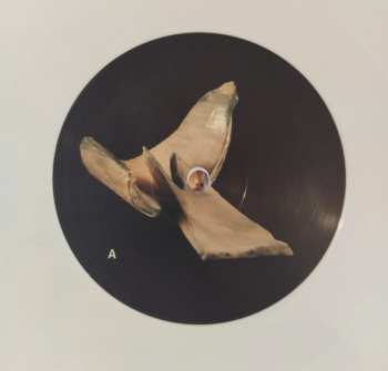 LP Parquesvr: Si No Fuera Por Estos Momentos, Ser​í​a Por Otros CLR