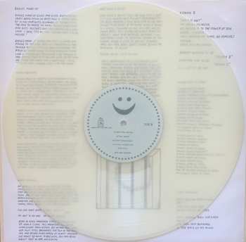 LP Parquet Courts: Sunbathing Animal CLR | LTD