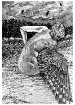 Album Patrick Lysaght: For The Birds