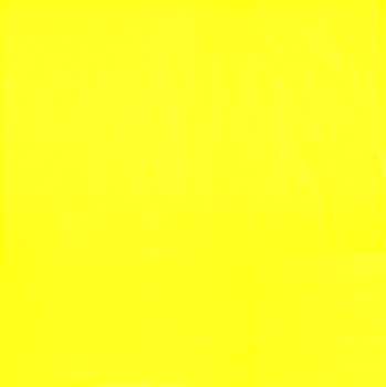 LP Paul McCartney: Flowers In The Dirt