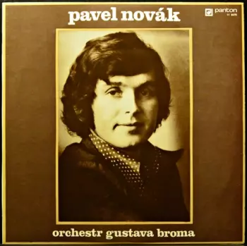 Pavel Novák