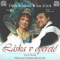 CD Pavla Břínková: Láska V Operetě