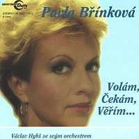 LP Pavla Břínková: Volám, čekám, Věřím
