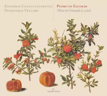 Missa in Granada c. 1520