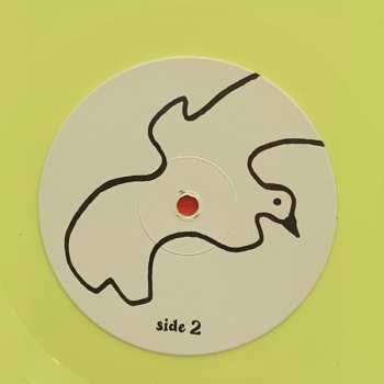 LP Peel Dream Magazine: Pad CLR | LTD