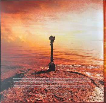 2LP Pelican: What We All Come to Need