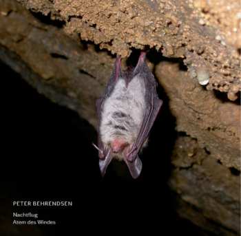 Album Peter Behrendsen: Nachtflug / Atem Des Windes