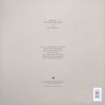 LP Peter Broderick: Music For Falling From Trees