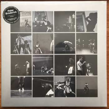 LP Peter Broderick: Music For Falling From Trees